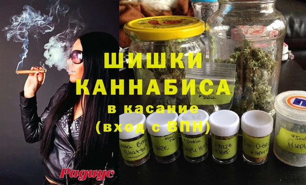 spice Пересвет