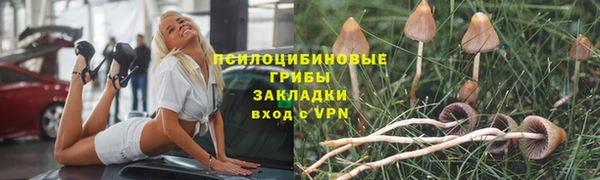 стафф Абаза