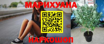 сатива Комсомольск-на-Амуре
