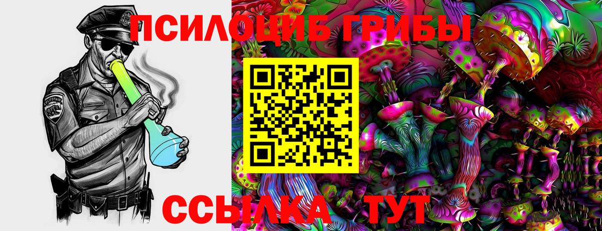 Псилоцибиновые грибы Cubensis  дарнет шоп  Скопин  Псилоцибиновые грибы мицелий  Вход с VPN 