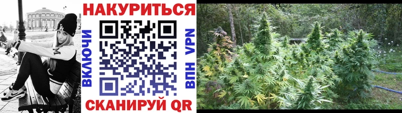 Канабис индика  Скопин 